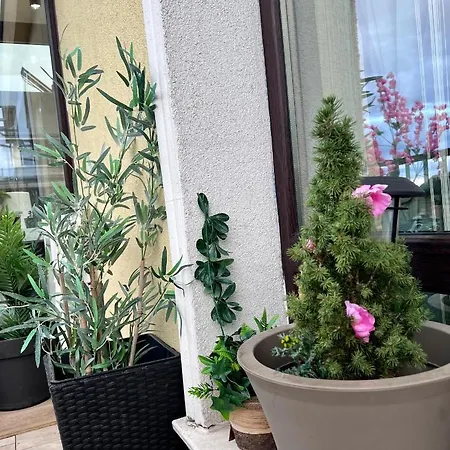 Vitosha Terrace 1br With Parking Апартаменти Софія
